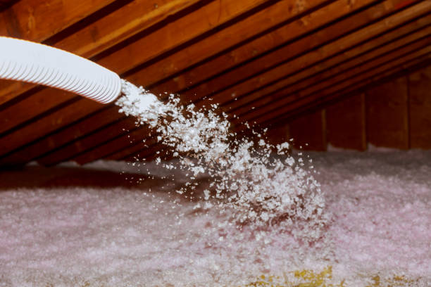 Best Insulation Installation Services in Athens, GA